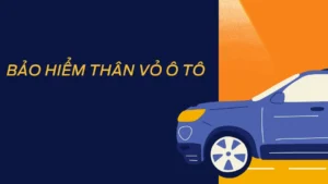 Bao hiem than vo o to