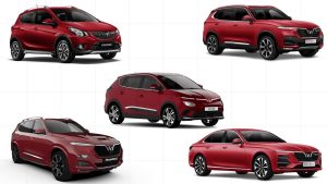 menh hoa mua xe mau gi 4 1633430556