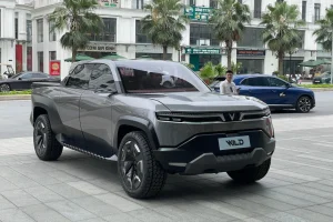 vinfast vf wild ve viet nam anh1 1715329521131