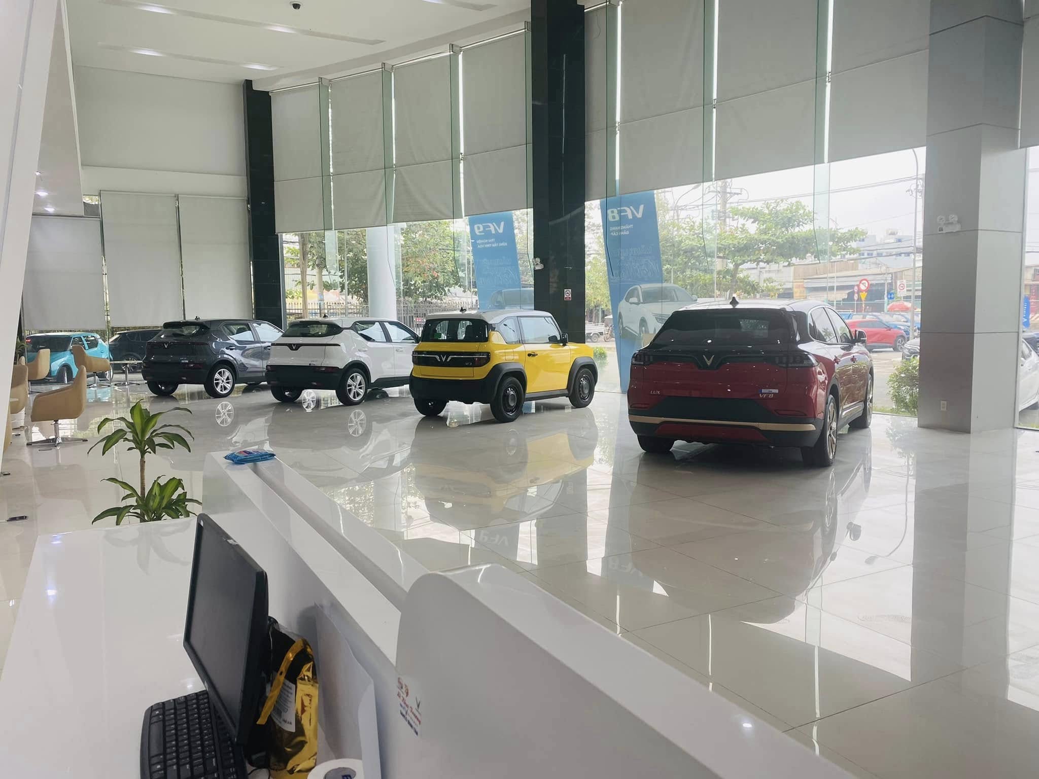 VinFast SAMCO Bình Tân - 2