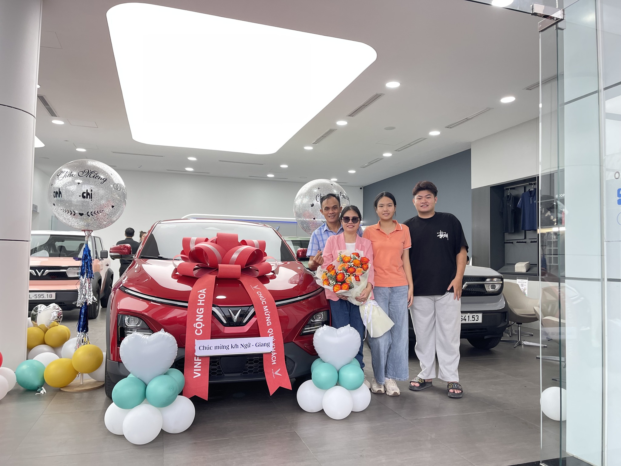 VinFast Miền Nam Bình Tân - 3