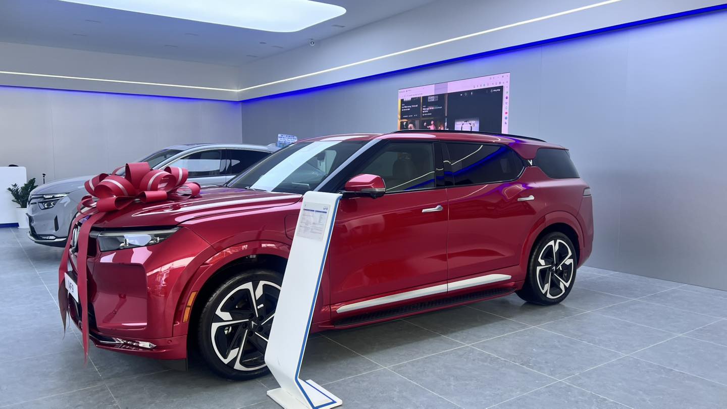 VinFast Miền Nam Bình Tân - 2