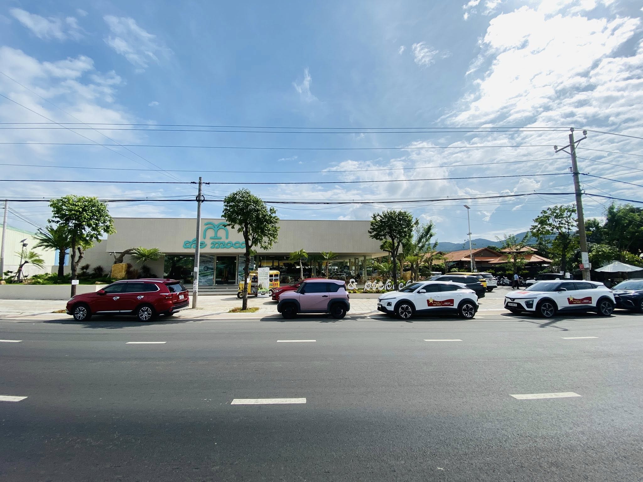 VinFast Hùng Sơn Thủ Đức - 4